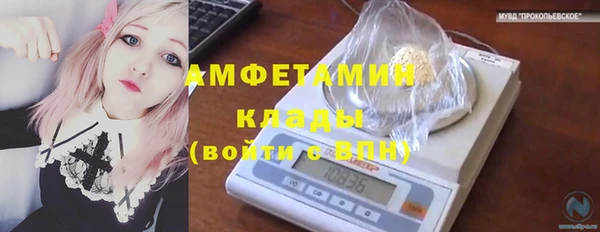 apvp Верея