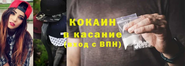 шишки Верхний Тагил