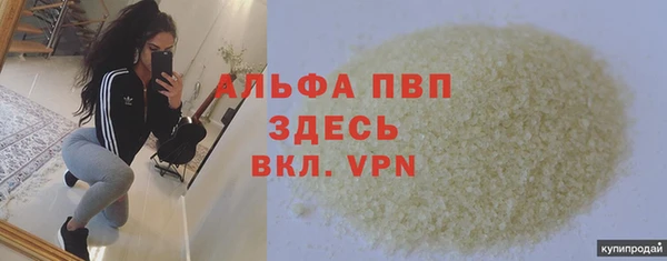 стаф Бородино