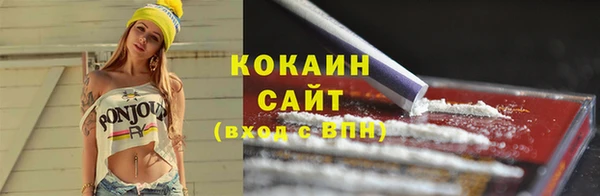 шишки Верхний Тагил