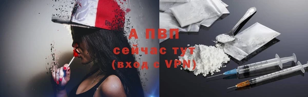 шишки Верхний Тагил