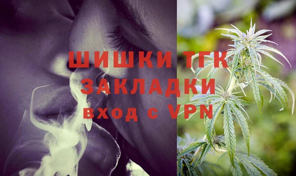 apvp Верея